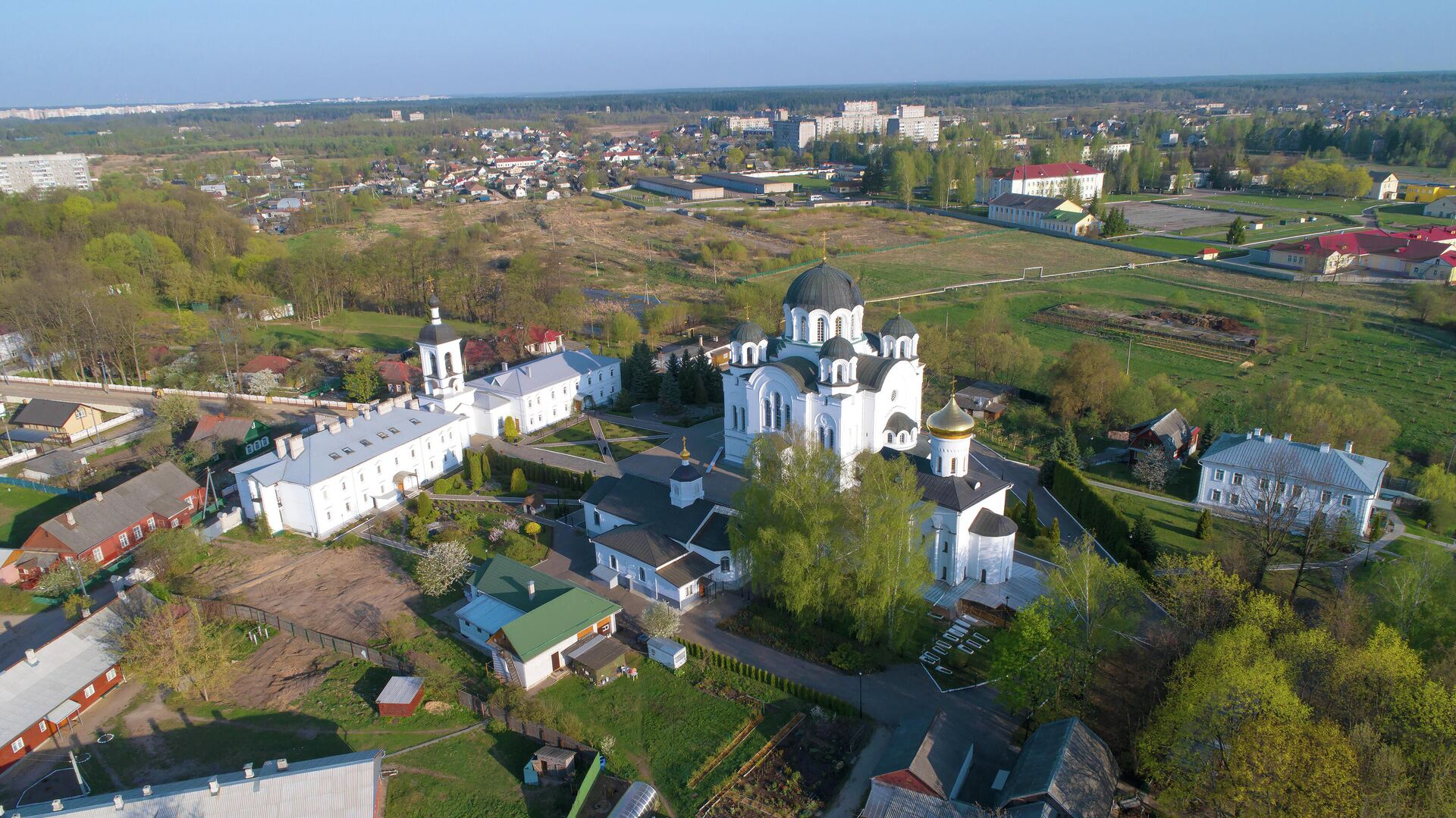 В Беларуси эксгумировали останки 803 жертв нацистских расстрелов под Полоцком