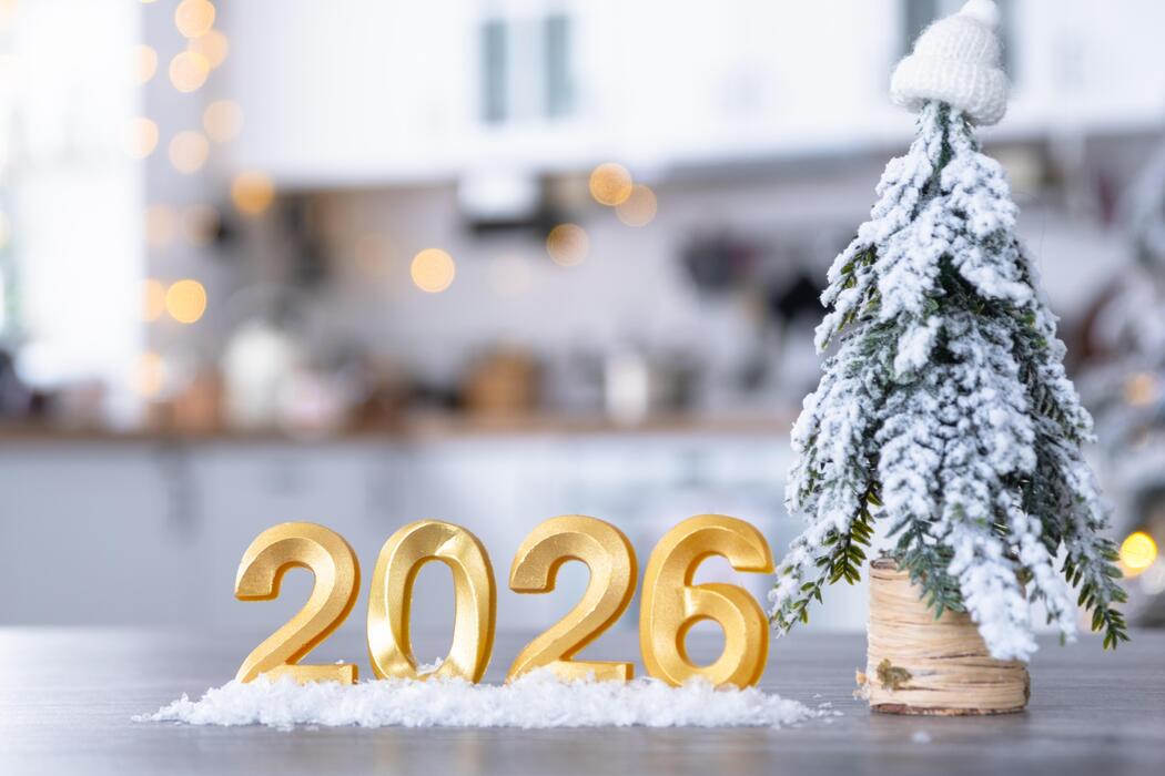  Встреча Нового 2026 года: Обзор ожиданий и тенденций