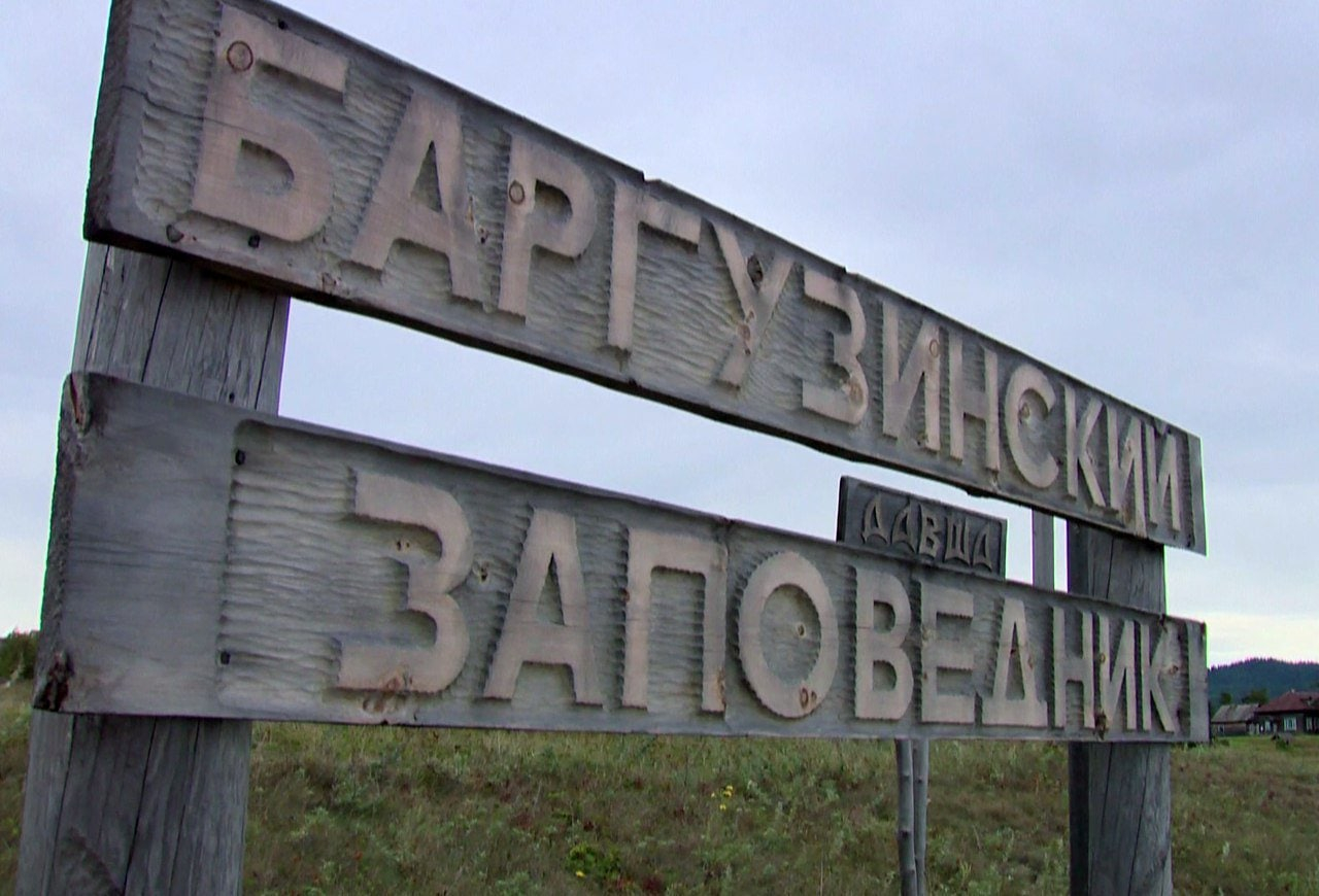 Баргузинский заповедник: как сто лет назад спасли русского соболя