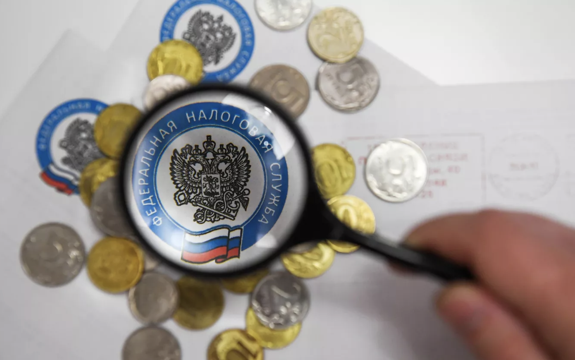 Госсовет Крыма продлил льготные ставки УСН на 2026 год